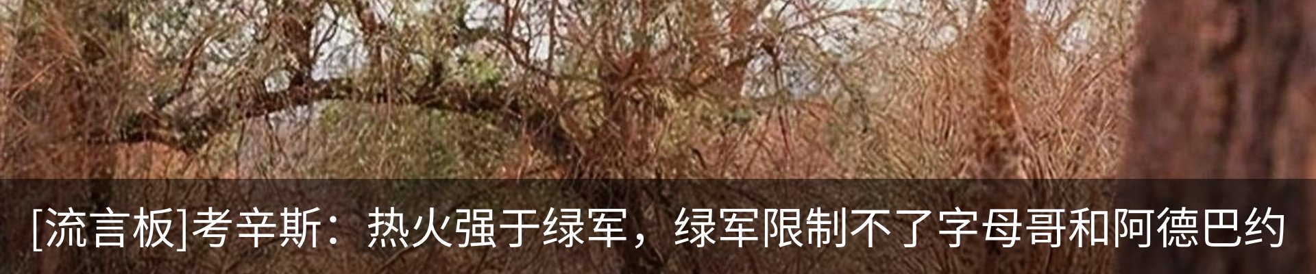 资讯中心